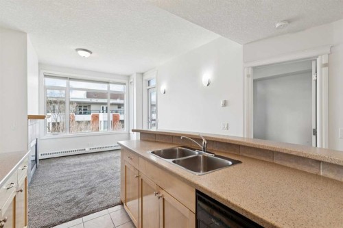 425-910 Centre Avenue Ne, Calgary, AB - Indoor Photo Showing Kitchen With Double Sink