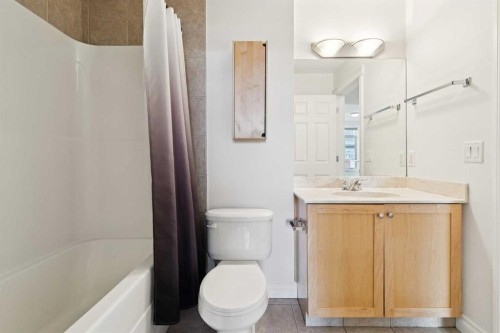 425-910 Centre Avenue Ne, Calgary, AB - Indoor Photo Showing Bathroom