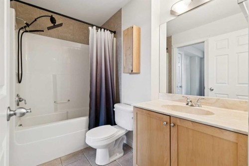 425-910 Centre Avenue Ne, Calgary, AB - Indoor Photo Showing Bathroom