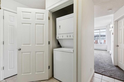 425-910 Centre Avenue Ne, Calgary, AB - Indoor Photo Showing Laundry Room
