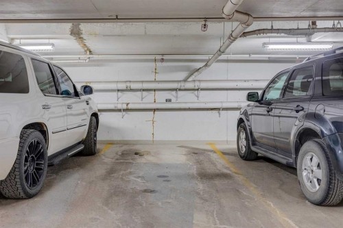425-910 Centre Avenue Ne, Calgary, AB - Indoor Photo Showing Garage