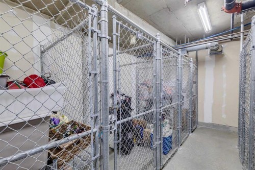 425-910 Centre Avenue Ne, Calgary, AB - Indoor With Storage