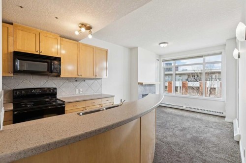 425-910 Centre Avenue Ne, Calgary, AB - Indoor Photo Showing Kitchen
