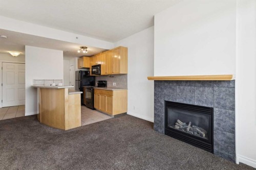 425-910 Centre Avenue Ne, Calgary, AB - Indoor Photo Showing Living Room With Fireplace