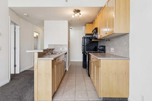 425-910 Centre Avenue Ne, Calgary, AB - Indoor Photo Showing Kitchen With Double Sink