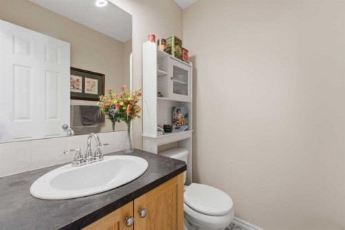 20 Covemeadow Manor Ne, Calgary, AB - Indoor Photo Showing Bathroom