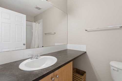 20 Covemeadow Manor Ne, Calgary, AB - Indoor Photo Showing Bathroom