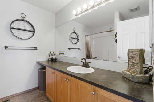 20 Covemeadow Manor Ne, Calgary, AB - Indoor Photo Showing Bathroom