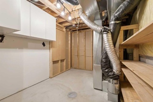 20 Covemeadow Manor Ne, Calgary, AB - Indoor Photo Showing Basement