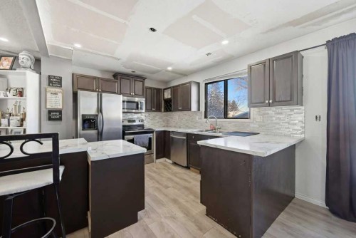 228 Castleridge Drive Ne, Calgary, AB - Indoor Photo Showing Kitchen With Stainless Steel Kitchen With Upgraded Kitchen
