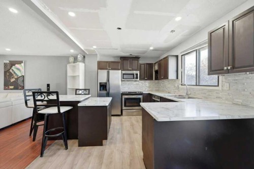 228 Castleridge Drive Ne, Calgary, AB - Indoor Photo Showing Kitchen With Stainless Steel Kitchen With Double Sink With Upgraded Kitchen