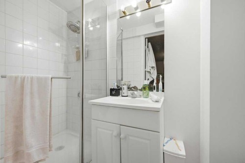 228 Castleridge Drive Ne, Calgary, AB - Indoor Photo Showing Bathroom