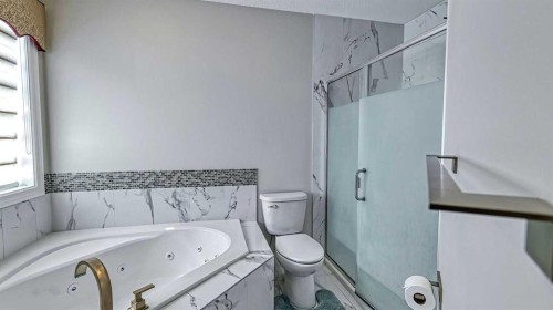 47 Saddlelake Way Ne, Calgary, AB - Indoor Photo Showing Bathroom