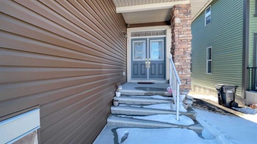 47 Saddlelake Way Ne, Calgary, AB - Outdoor