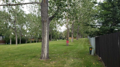 5801/5803 Dalgleish Road Nw, Calgary, AB - Outdoor