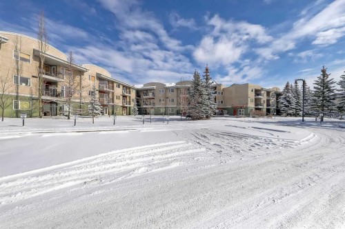 226-69 Springborough Court SW Calgary, AB T3H 5V5