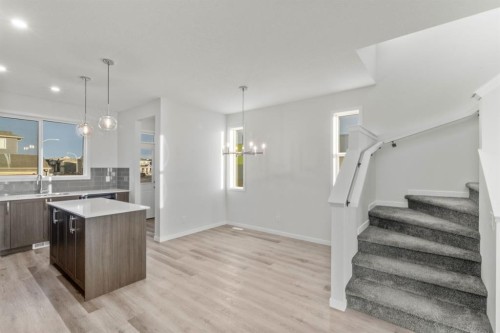 98 Cornerstone Link Ne, Calgary, AB - Indoor Photo Showing Kitchen With Double Sink With Upgraded Kitchen