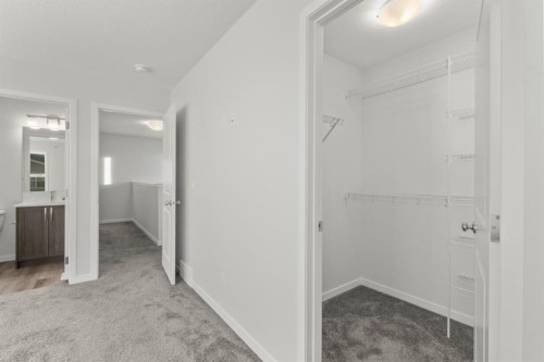 98 Cornerstone Link Ne, Calgary, AB - Indoor Photo Showing Other Room