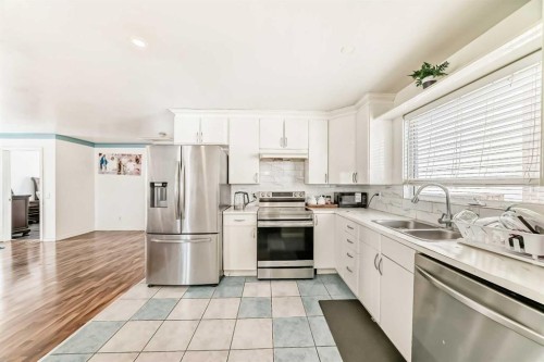 3803 49 Street Ne, Calgary, AB - Indoor Photo Showing Kitchen With Double Sink