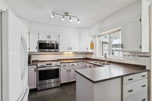 168 Erin Meadow Close Se, Calgary, AB - Indoor Photo Showing Kitchen With Double Sink