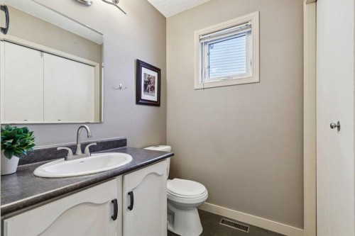 168 Erin Meadow Close Se, Calgary, AB - Indoor Photo Showing Bathroom