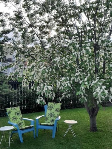 168 Erin Meadow Close Se, Calgary, AB - Outdoor