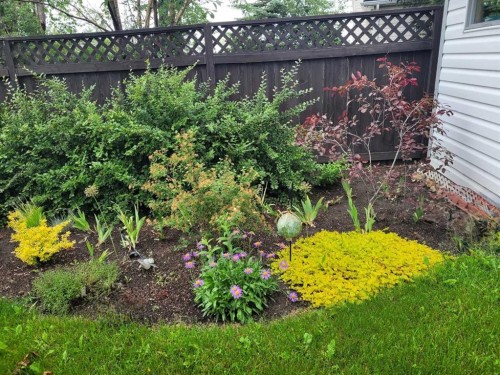 168 Erin Meadow Close Se, Calgary, AB - Outdoor