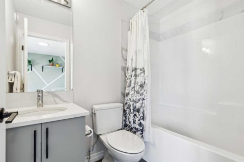 69 Lavender Road Se, Calgary, AB - Indoor Photo Showing Bathroom