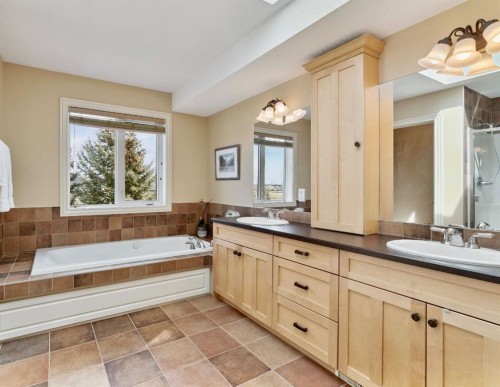 212 Springmere Place, Chestermere, AB - Indoor Photo Showing Bathroom