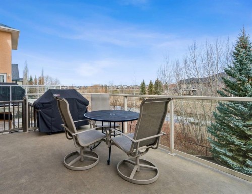 212 Springmere Place, Chestermere, AB - Outdoor