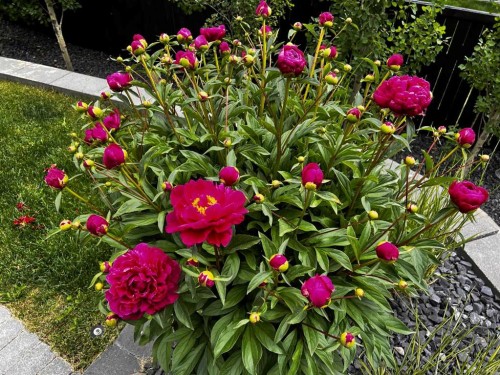 120 Hidden Creek Circle Nw, Calgary, AB - Outdoor