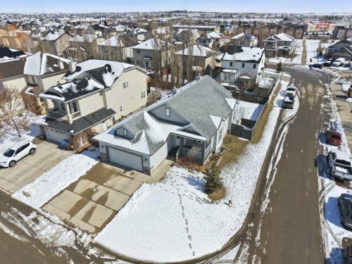 103 Oakmere Green, Chestermere, AB - Outdoor