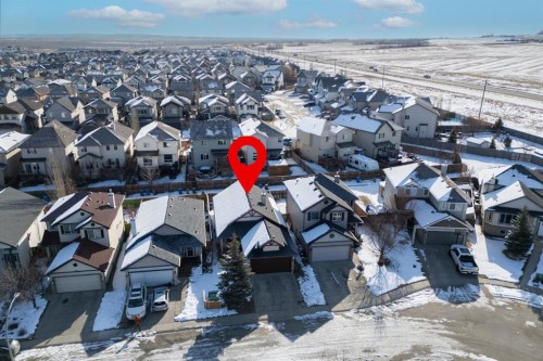 145 Cimarron Grove Circle, Okotoks, AB - Outdoor