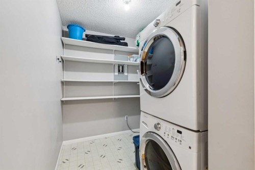 102-21 Dover Point Se, Calgary, AB - Indoor Photo Showing Laundry Room