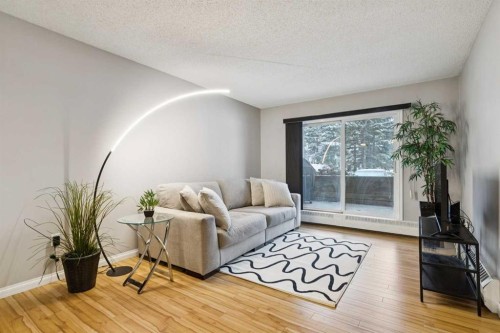 102-21 Dover Point Se, Calgary, AB - Indoor Photo Showing Living Room