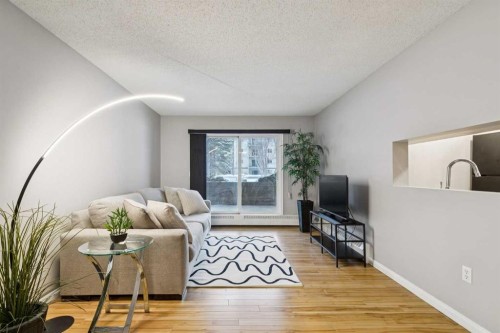 102-21 Dover Point Se, Calgary, AB - Indoor Photo Showing Living Room