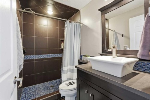 99 Sunset View, Cochrane, AB - Indoor Photo Showing Bathroom