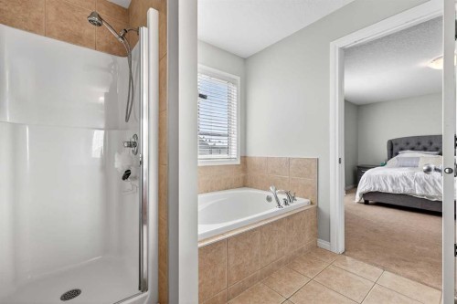 38 Silverado Skies Crescent, Calgary, AB - Indoor Photo Showing Bathroom