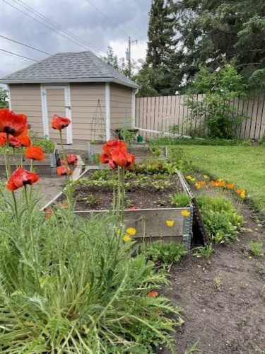 3316 24 Street Nw, Calgary, AB - Outdoor