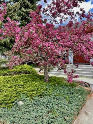 3316 24 Street Nw, Calgary, AB - Outdoor