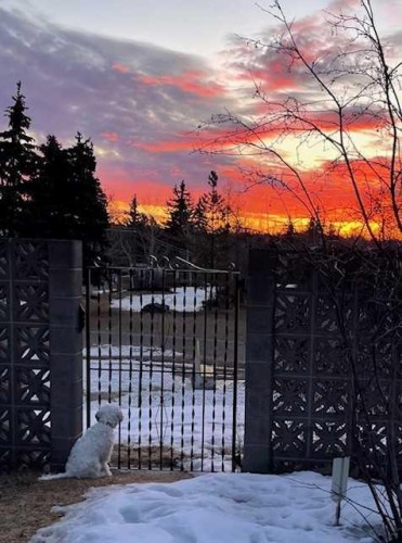 3316 24 Street Nw, Calgary, AB - Outdoor With View