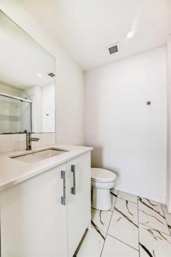 2309-63 Corner Glen Crescent Ne, Calgary, AB - Indoor Photo Showing Bathroom