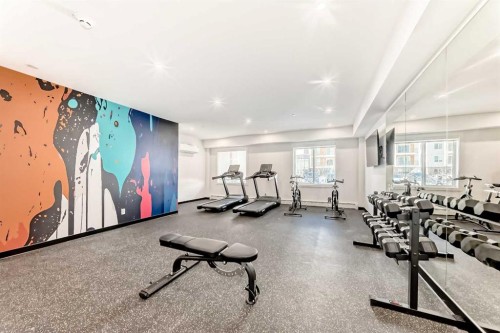 2309-63 Corner Glen Crescent Ne, Calgary, AB - Indoor Photo Showing Gym Room