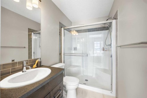 111 Evanscrest Gardens Nw, Calgary, AB - Indoor Photo Showing Bathroom