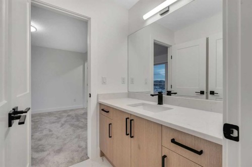 153 Waterford Passage, Chestermere, AB - Indoor Photo Showing Bathroom