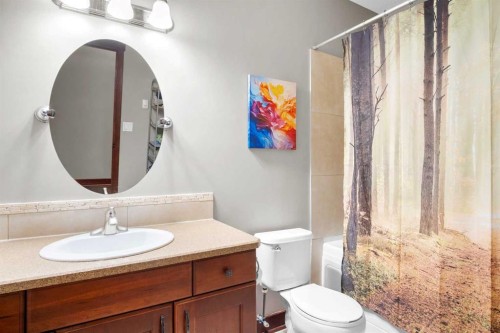 5939 Park Meadows Crescent, Olds, AB - Indoor Photo Showing Bathroom