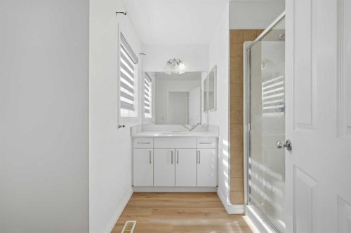 165 Saddlecrest Way Ne, Calgary, AB - Indoor Photo Showing Bathroom