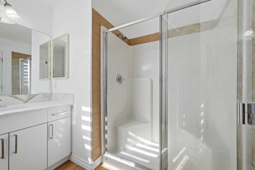 165 Saddlecrest Way Ne, Calgary, AB - Indoor Photo Showing Bathroom