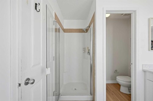 165 Saddlecrest Way Ne, Calgary, AB - Indoor Photo Showing Bathroom