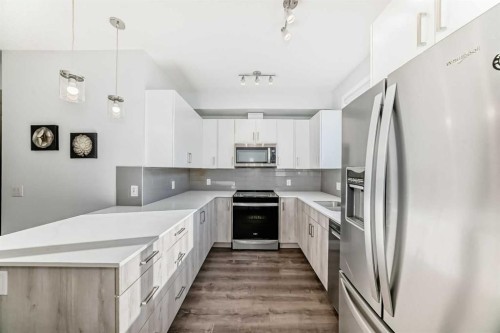 263 Redstone Boulevard Ne, Calgary, AB - Indoor Photo Showing Kitchen With Upgraded Kitchen